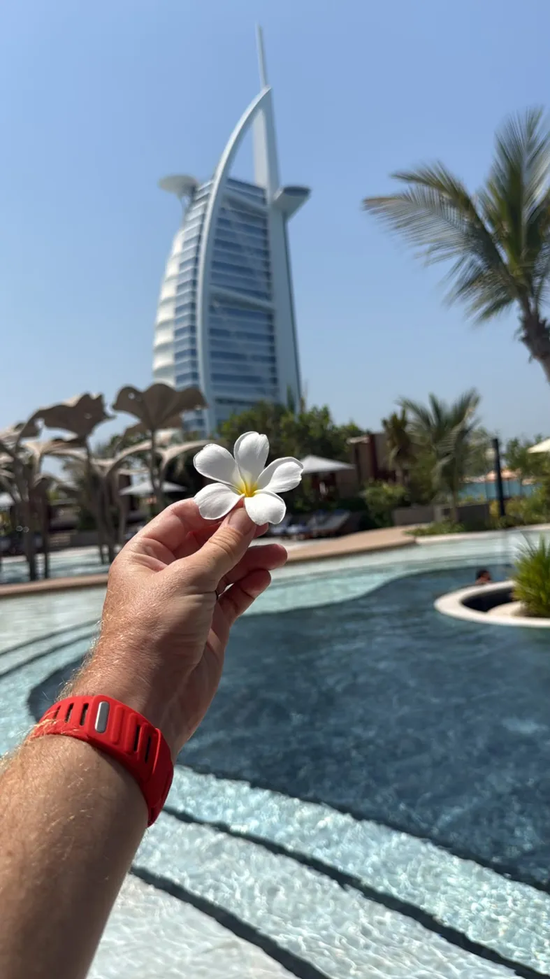 Bobby's hand holding the white plumeria flower against the sky.